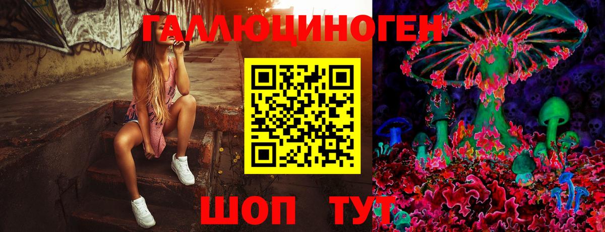 Галлюциногенные грибы прущие грибы Павлово