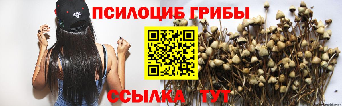 Псилоцибиновые грибы Psilocybe  купить закладку  Павлово  Вход с VPN 